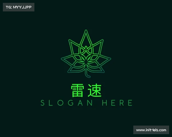 介绍雷速